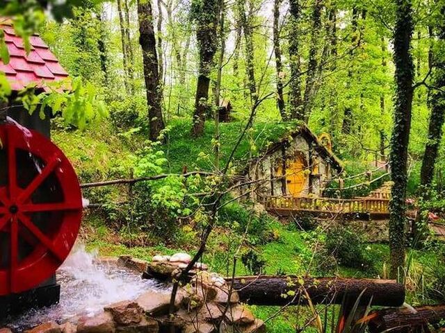 ORMANYA MAŞUKİYE SAPANCA TURU-GÜNÜBİRLİK