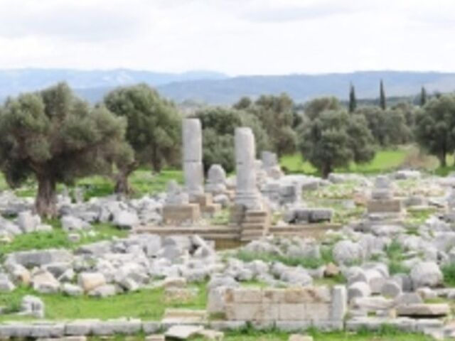 SIĞACIK TEOS BADEMLER KÖYÜ TURU (GÜNÜBİRLİK)